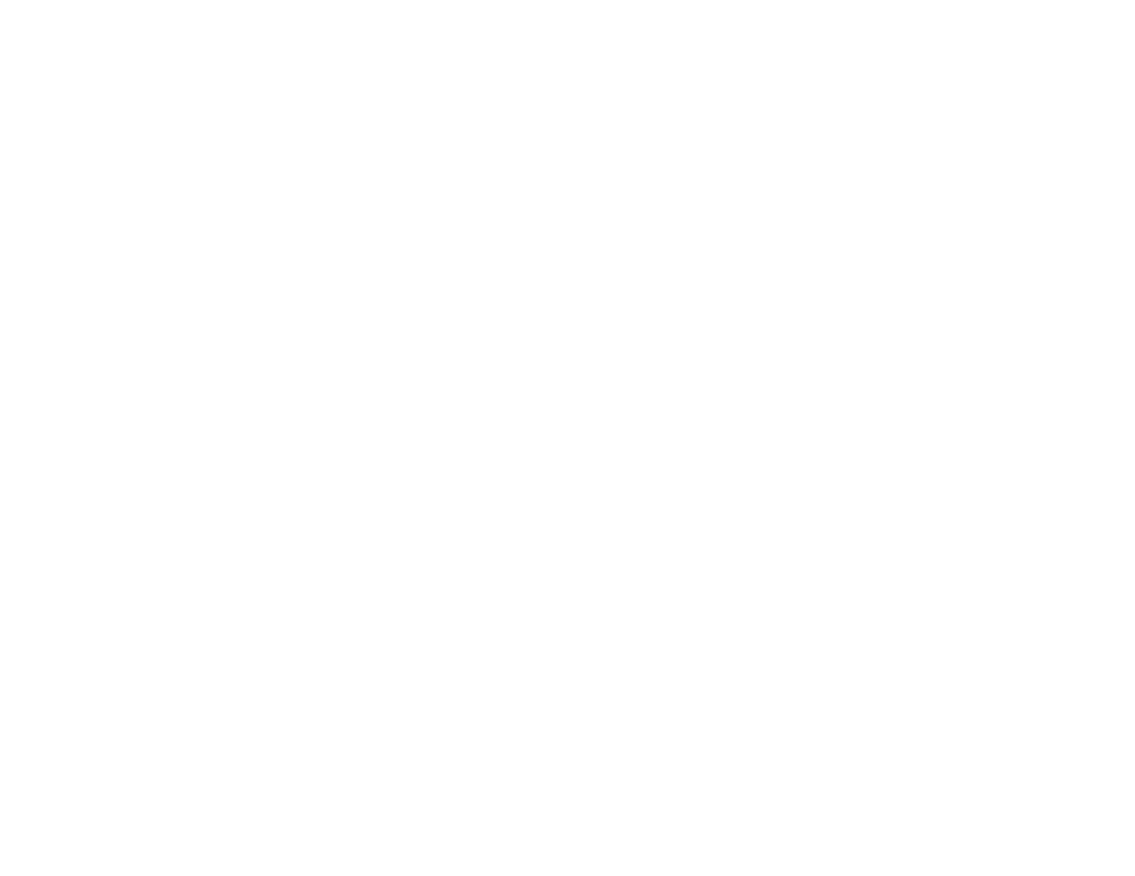 Crisis Zone Consulting