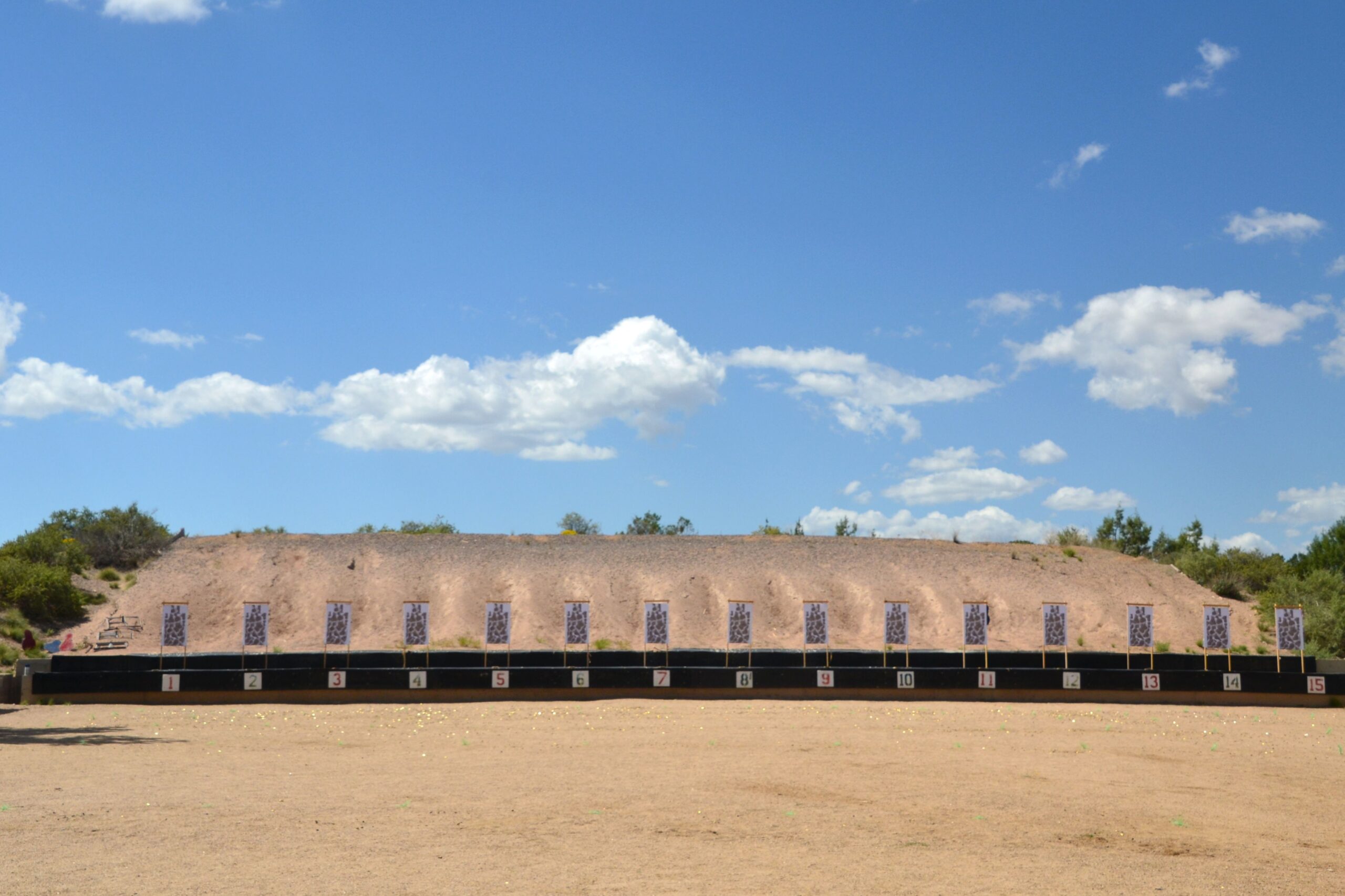 Firearm Training